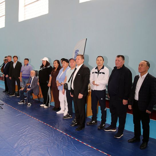 Богатырь барысы