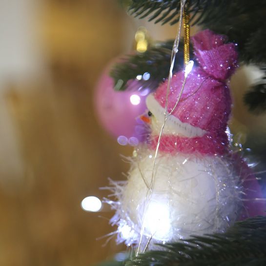 Новогодняя фантазия на «Богатыре»